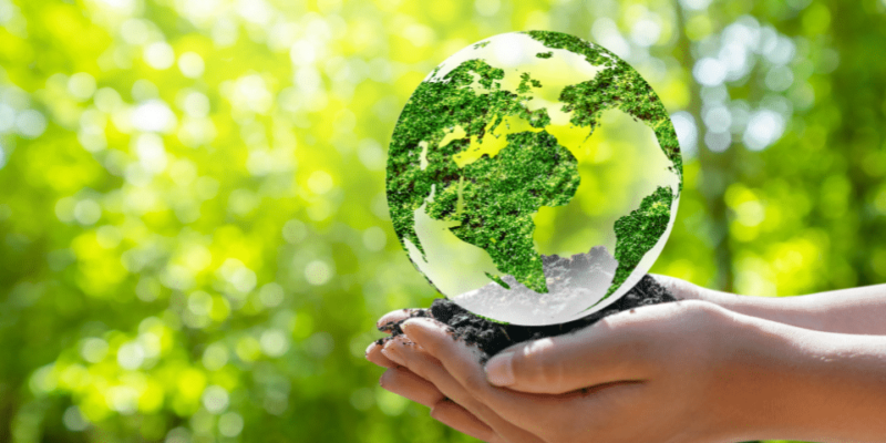 12 Acciones para cuidar el planeta