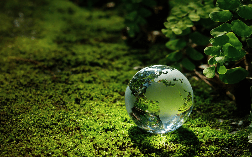 La importancia de los ODS