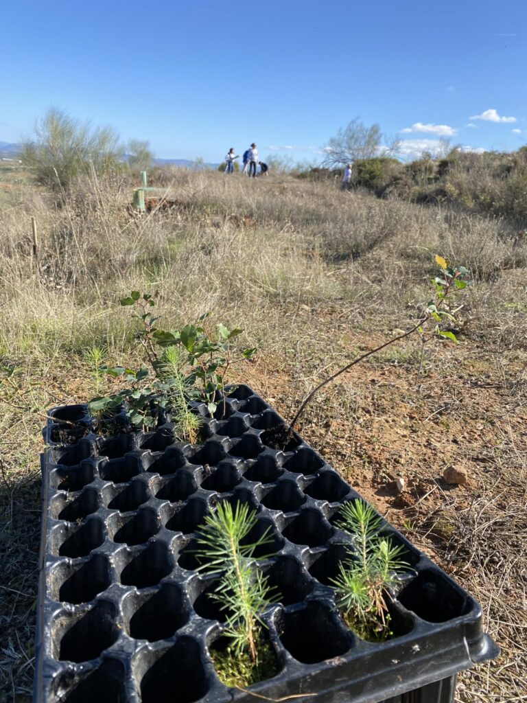 ee8d6ce4 337a 416f 83a5 6f21e8e72a96