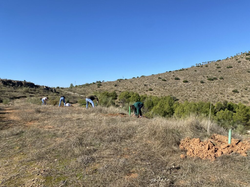 f00e1133 ef65 4232 a7aa 94d83d624a4c